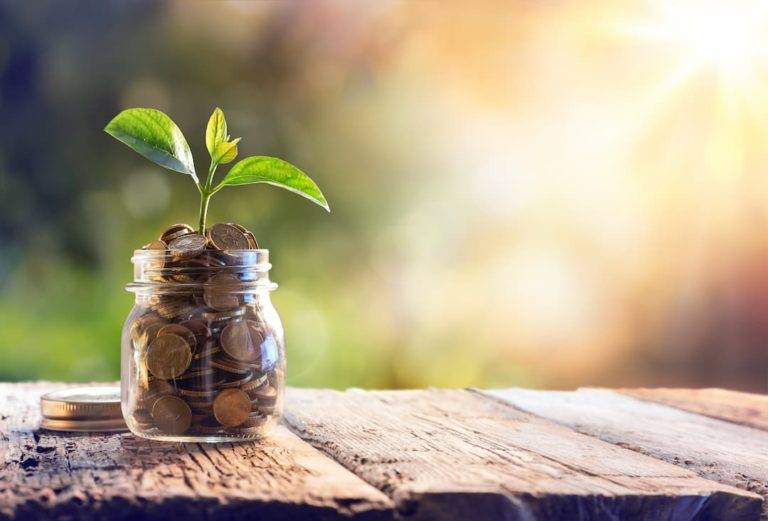 Save Money In A Jar With Plant Growing